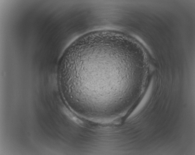 X0000082941460200702081611