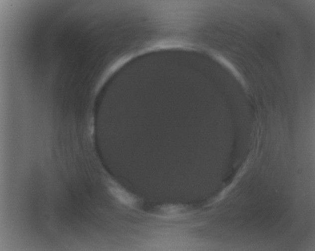 X0000082941461200702081611