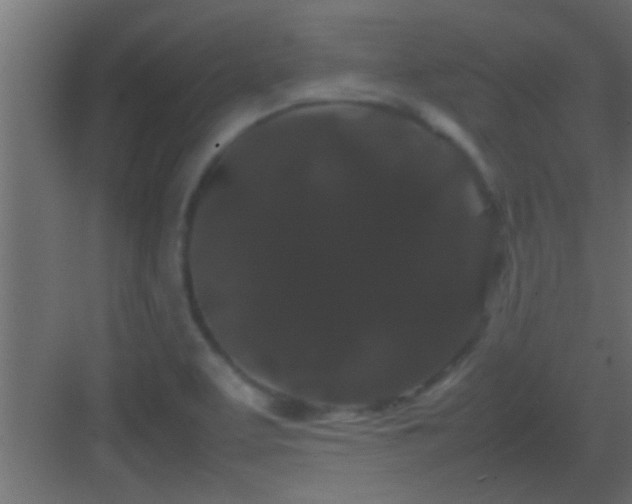 X0000082941463200702081610