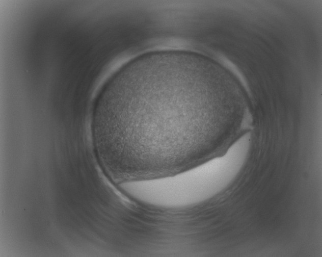 X0000082941464200702081610