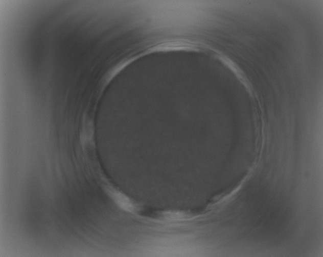 X0000082941465200702081610