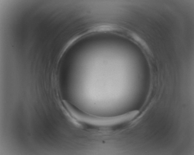 X0000082941473200702081610