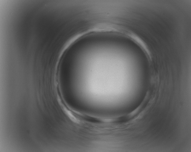 X0000082941485200702081610