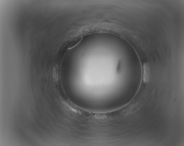 X0000082941491200702081609