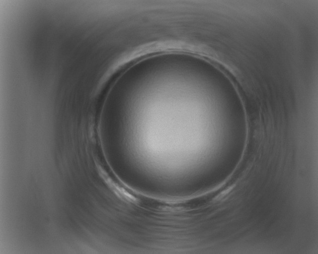 X0000082941499200702081609
