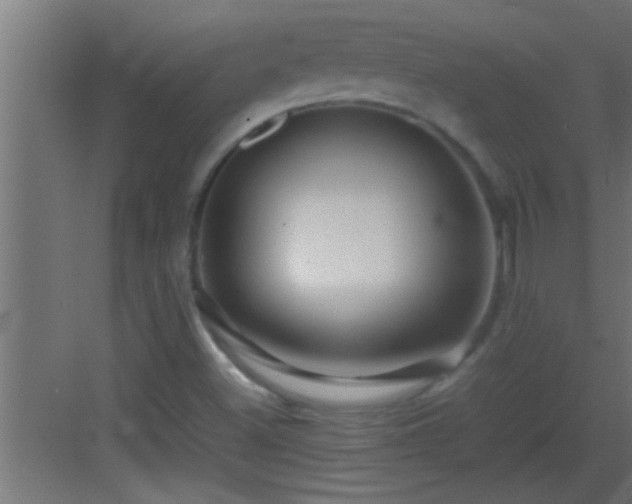 X0000082941500200702081609