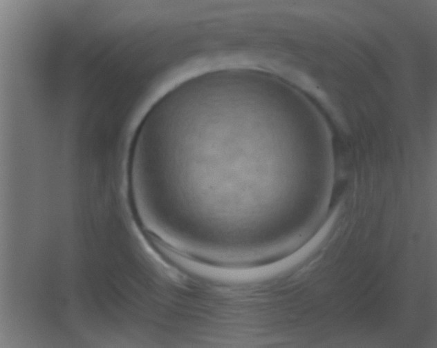 X0000082941512200702081610