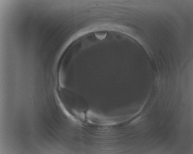 X0000082941515200702081610