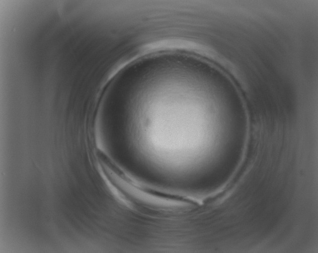 X0000082941521200702081610