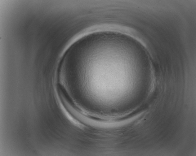 X0000082941523200702081610