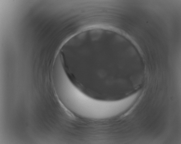 X0000082941529200702081610