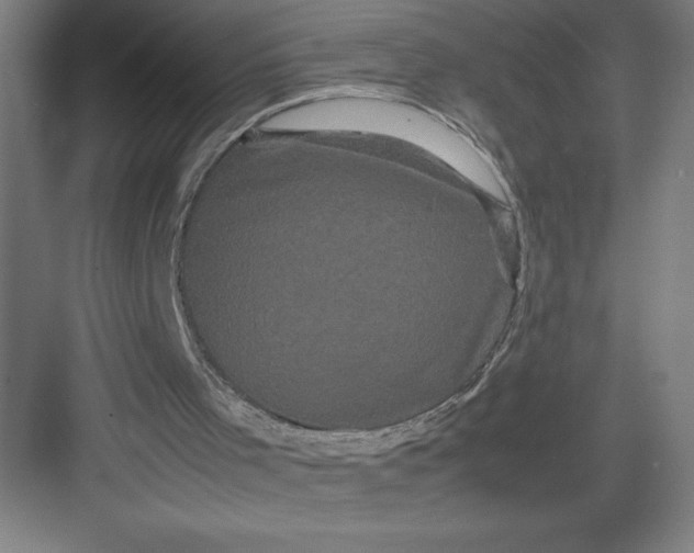 X0000082940001200702152226