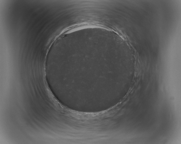 X0000082940002200702152226