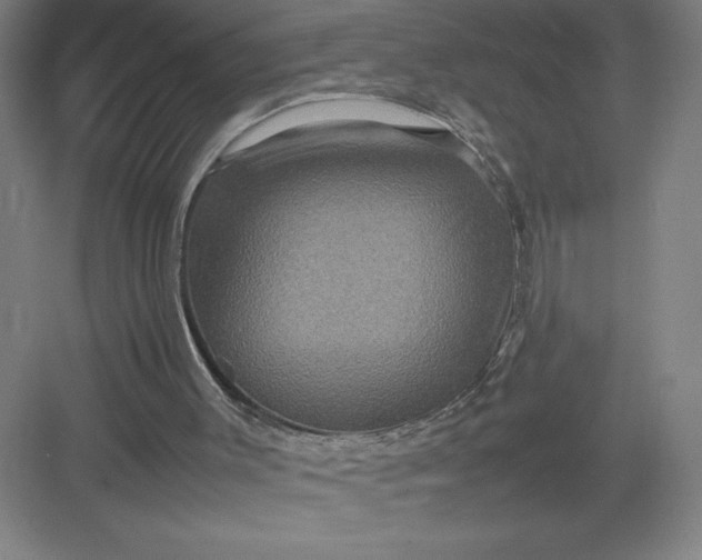 X0000082940003200702152226