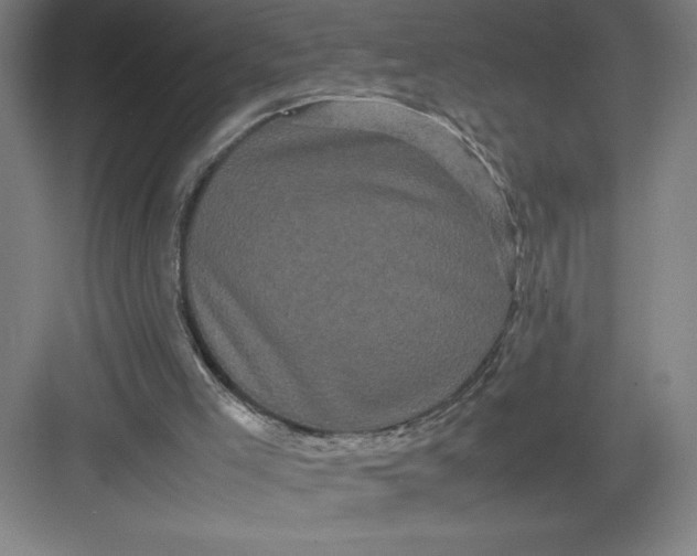 X0000082940005200702152226