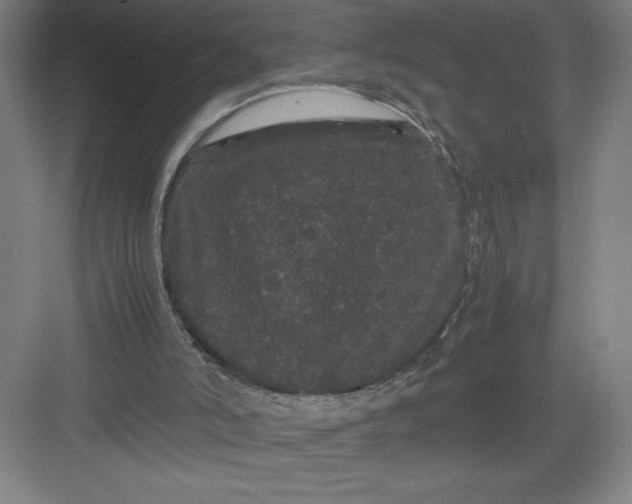 X0000082940006200702152226