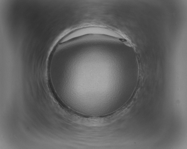 X0000082940008200702152226