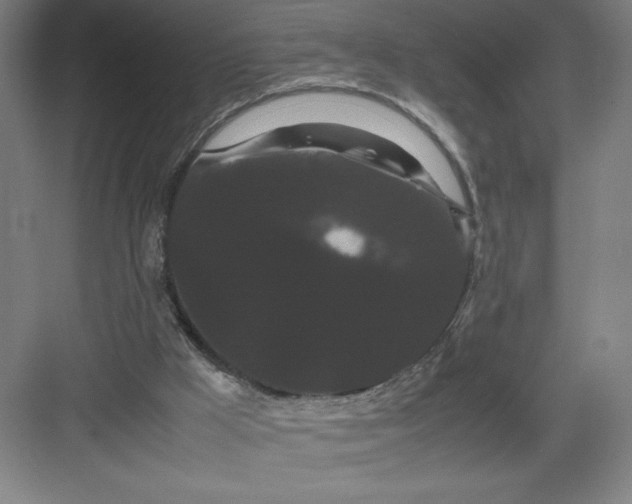 X0000082940009200702152226