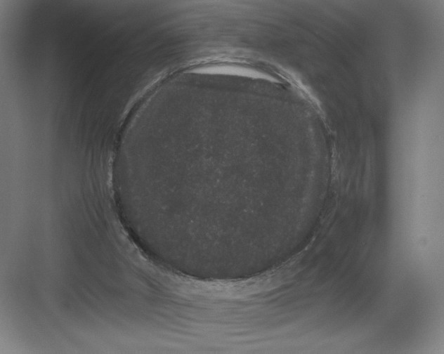 X0000082940010200702152226