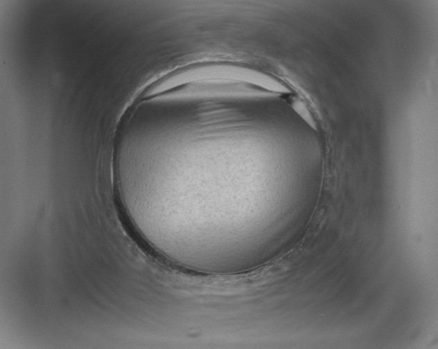 X0000082940011200702152226