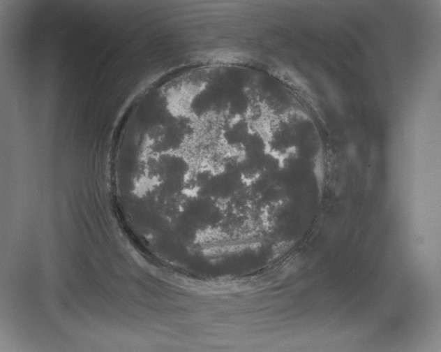 X0000082940012200702152226