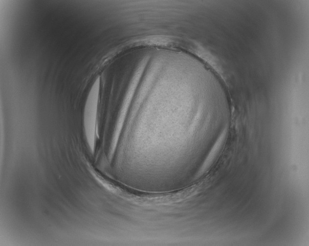 X0000082940013200702152226