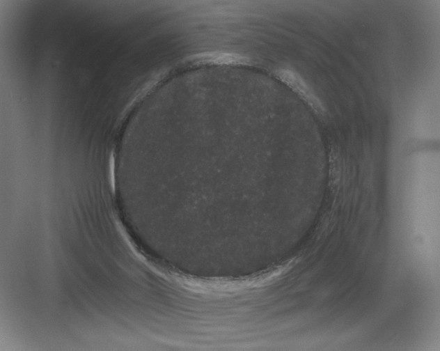 X0000082940014200702152226