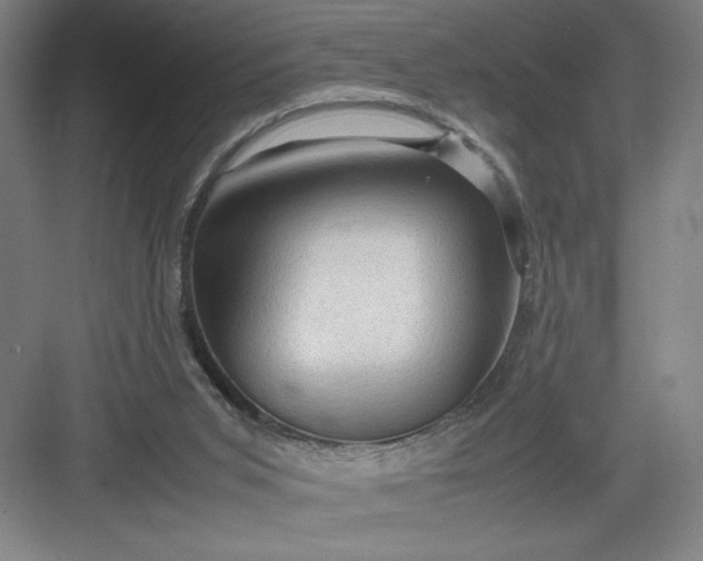 X0000082940015200702152226