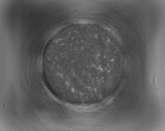 X0000082940016200702152226