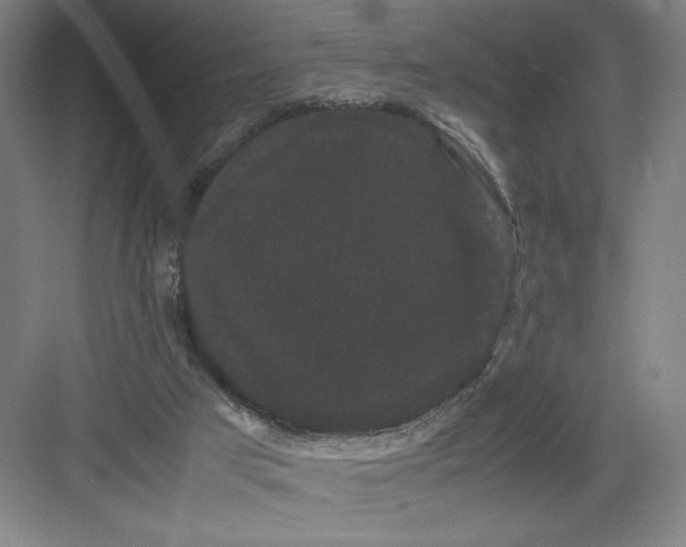 X0000082940017200702152226