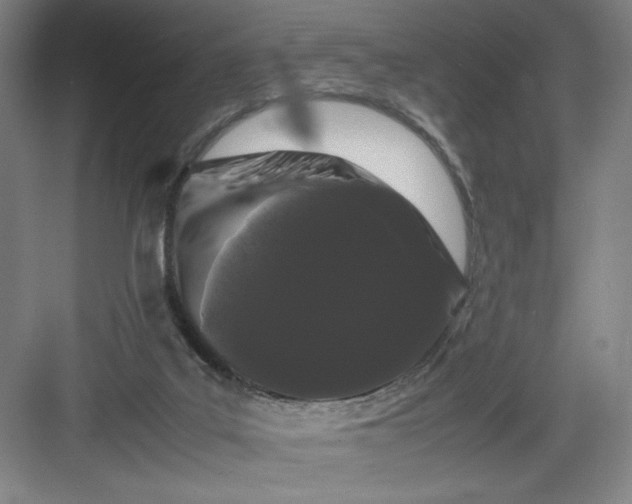 X0000082940019200702152226