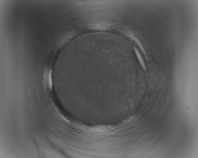 X0000082940020200702152226