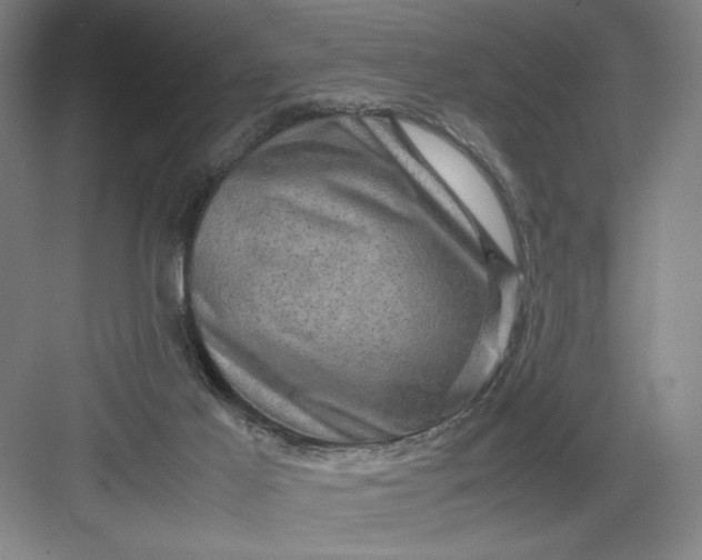 X0000082940021200702152226