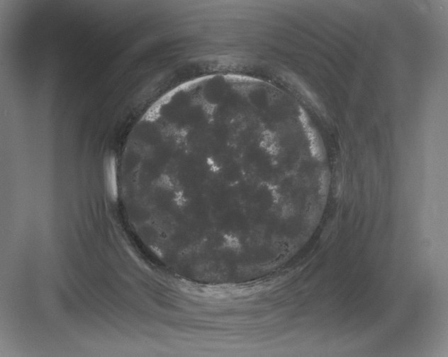 X0000082940022200702152226