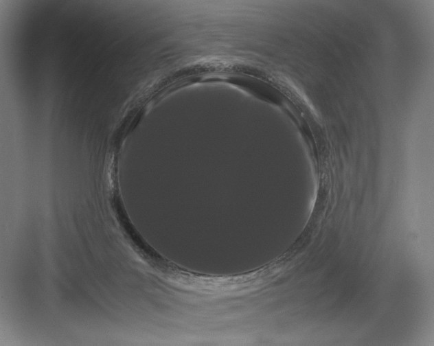 X0000082940023200702152226