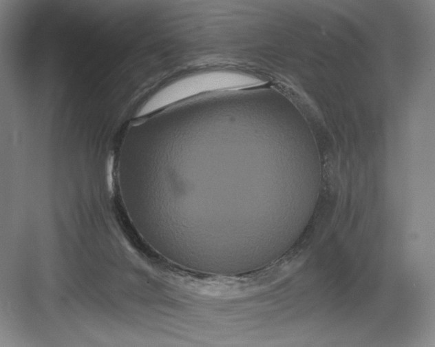 X0000082940024200702152226