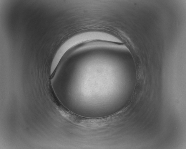 X0000082940025200702152226