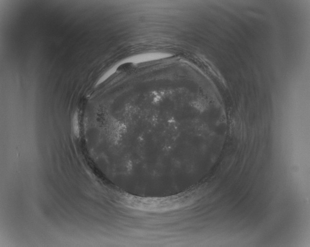 X0000082940026200702152226