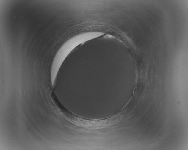 X0000082940027200702152226