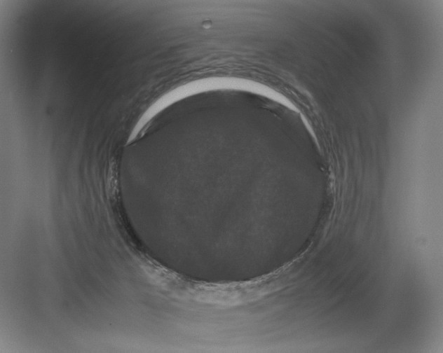 X0000082940029200702152226