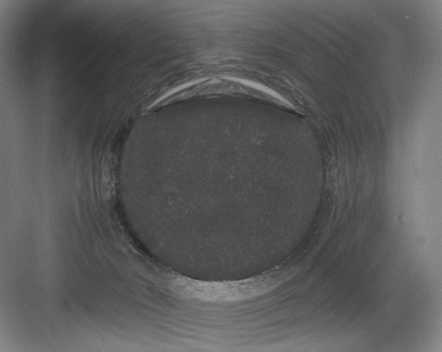 X0000082940030200702152226