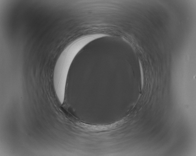 X0000082940031200702152225