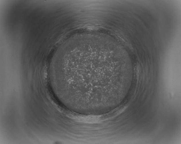 X0000082940032200702152225