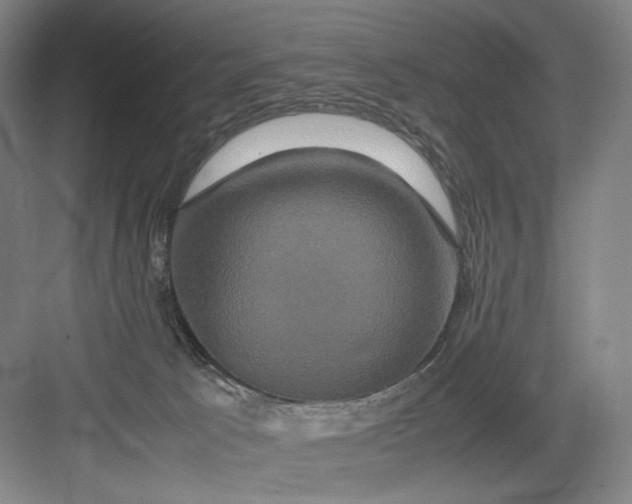 X0000082940033200702152225