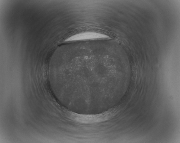 X0000082940034200702152225