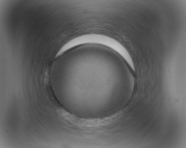 X0000082940037200702152225