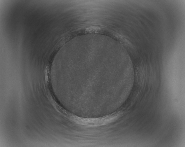 X0000082940038200702152225