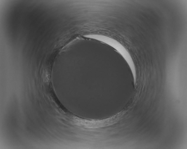 X0000082940039200702152225