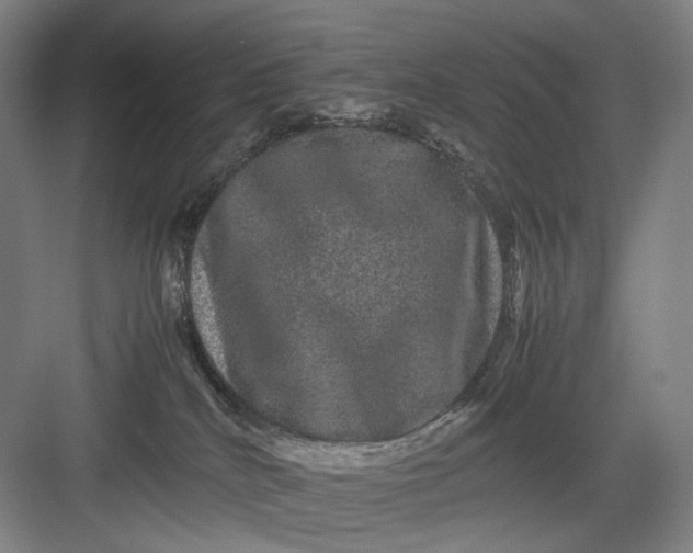 X0000082940040200702152225