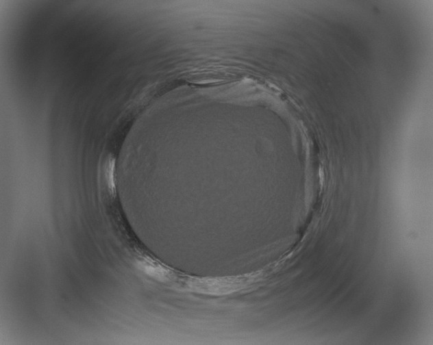 X0000082940041200702152225